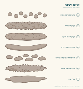 סולם בריסטול: איור של שבע דרגות מרקם יציאה, מכדורים קשים ונפרדים ועד נוזלי לגמרי